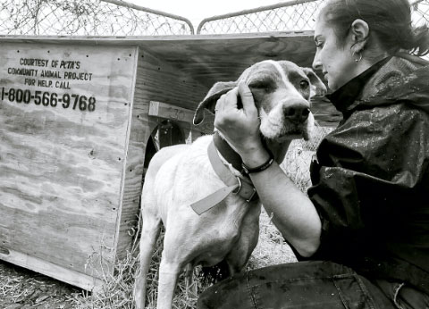 Woman comforting dog